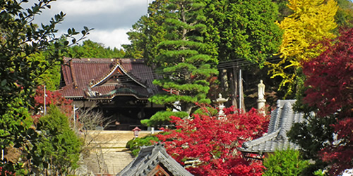 龍泉寺の自然保護